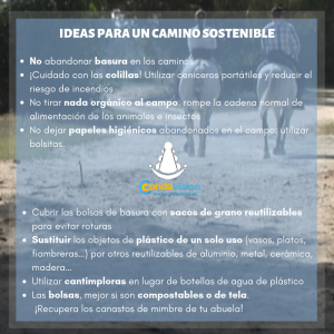 infografía rocío