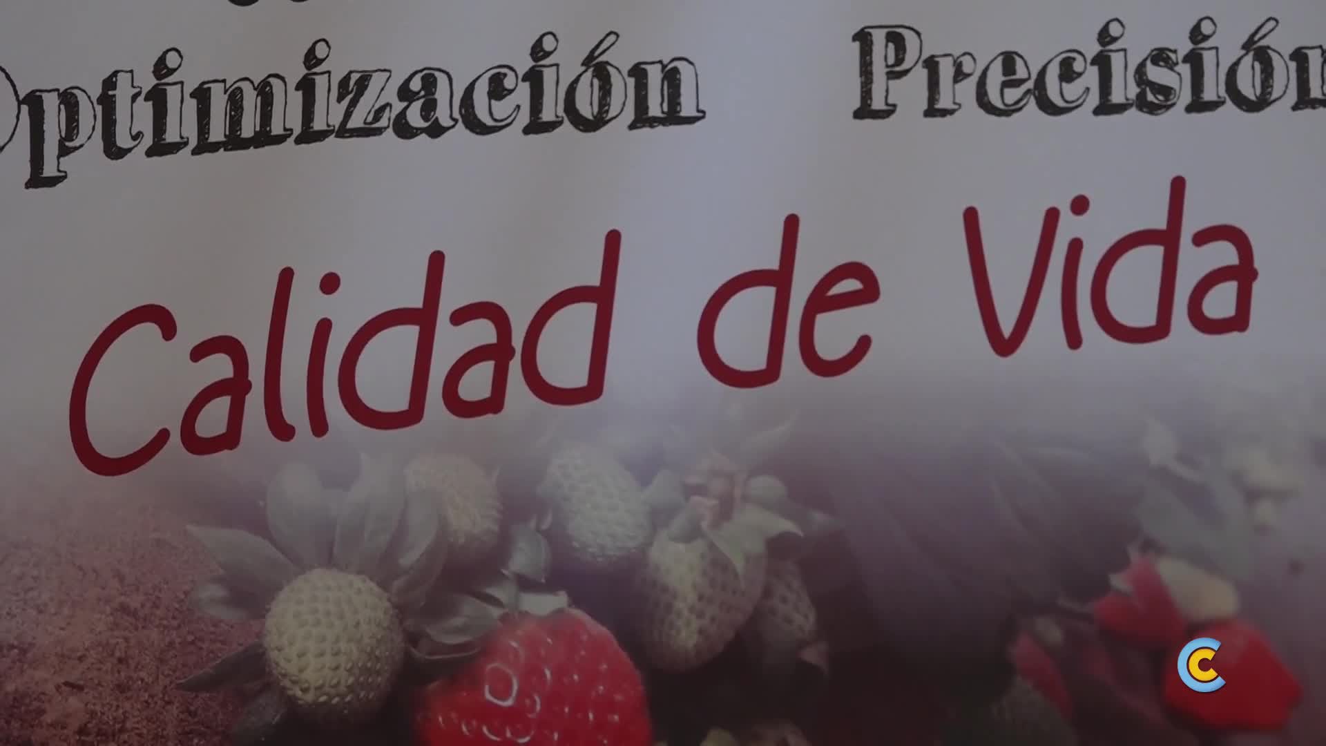 Arrancan las XXXIV Jornadas Técnicas Agrícolas y Medioambientales en Lucena  - Condavisión